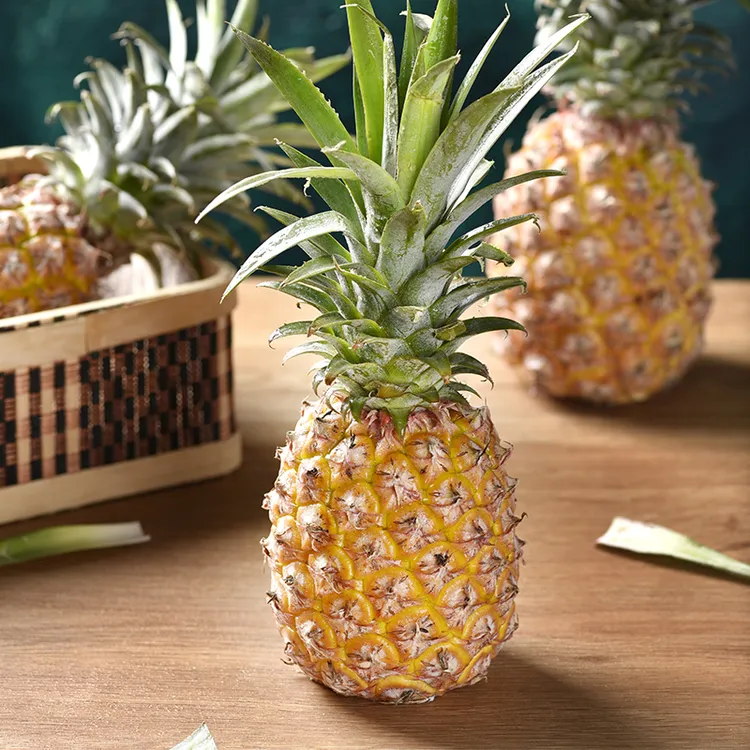 海南金钻凤梨5斤 当季新鲜热带水果美味可口不用泡盐水YY1