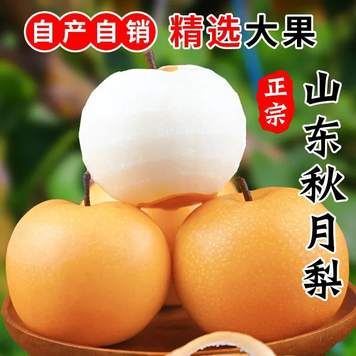 正宗莱阳秋月梨新鲜细腻香脆香甜化渣4.6斤爽口皮薄汁水秋梨水果
