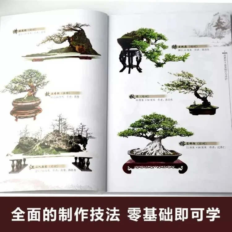盆景养护 造型分解  画册