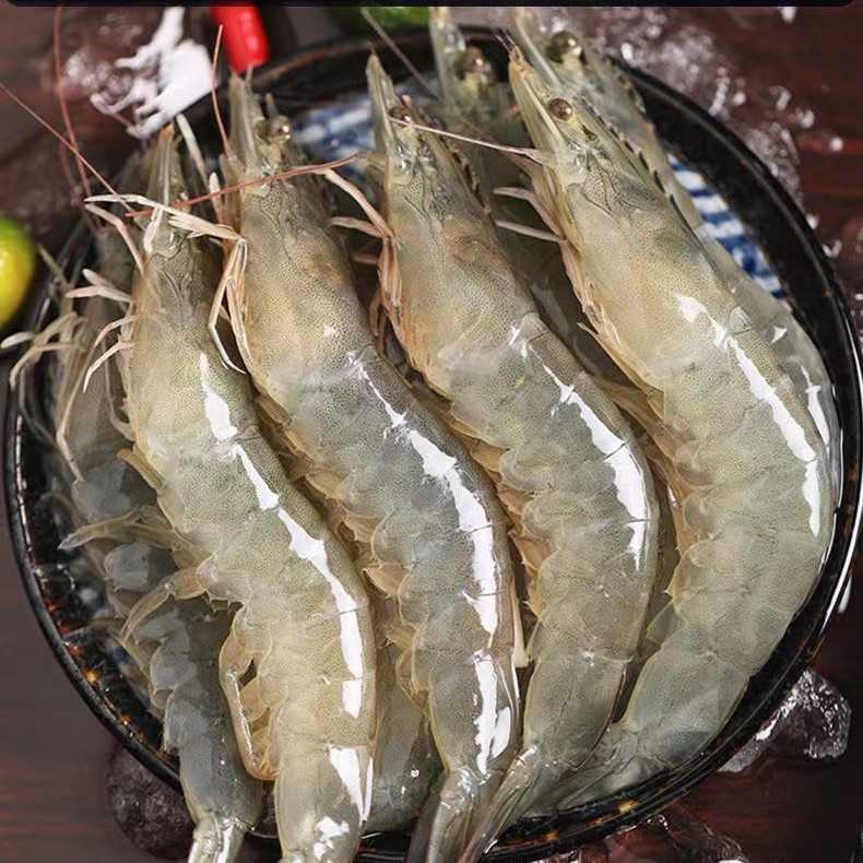 【琳琳推荐】20-30 鲜活速冻青岛海水大虾 17-19厘米  3斤 青岛发货