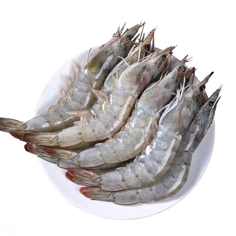 （老金专属）2030 大号海虾三斤 青岛顺丰发货000