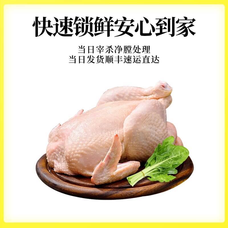 蛋鲜森黄油老母鸡特惠装 400天鲜活宰杀土鸡（净重1000g-1100g)
