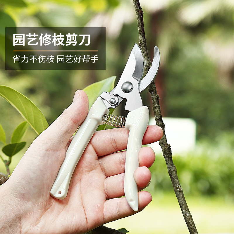 DSF 鲜花速递花卉仿真绿植园艺 剪刀 拍下发随机剪刀一把