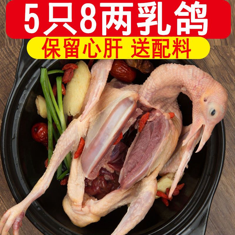 【年货】【带头爪】乳鸽生鲜农家散养鸽子批发鸽子肉新鲜现杀冷冻