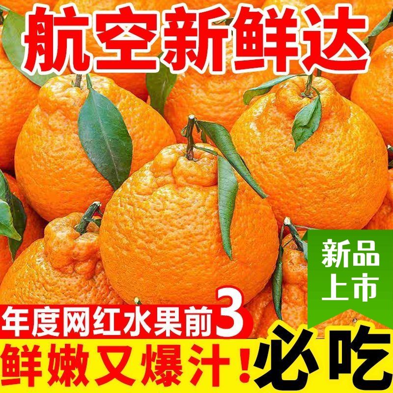 【超新鲜】正宗丑橘耙耙柑四川不知火丑八怪橘子大果整箱1-9斤大果