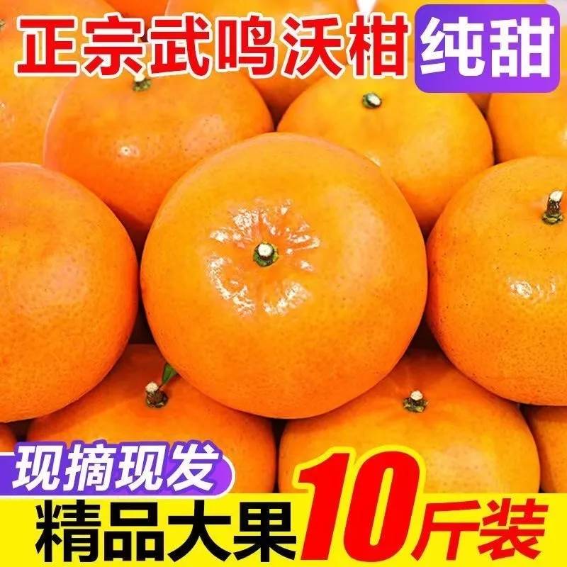 【嘉鑫】正宗广西武鸣沃柑橘子桔子应季新鲜水果纯甜桔子蜜橘10斤装