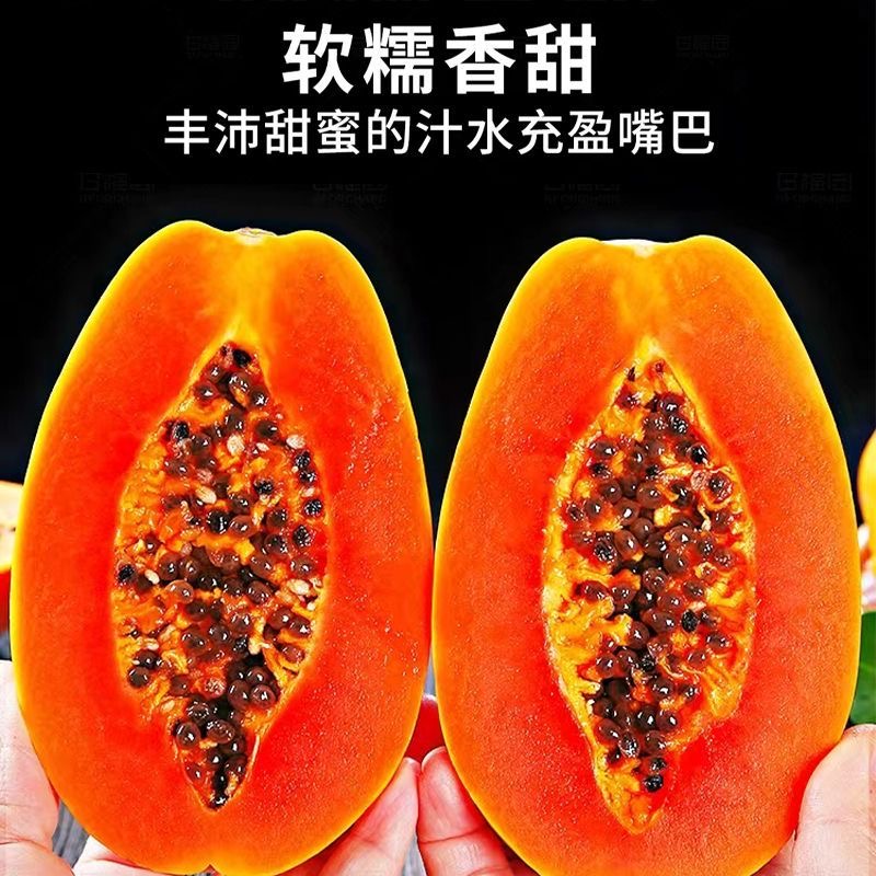 【嘉鑫】红心牛奶木瓜10斤新鲜水果当季孕妇下奶冰糖青木瓜自然熟整