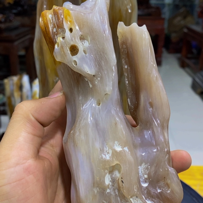 【闪购商品】硅化玉珠宝奇石未镶嵌别****?