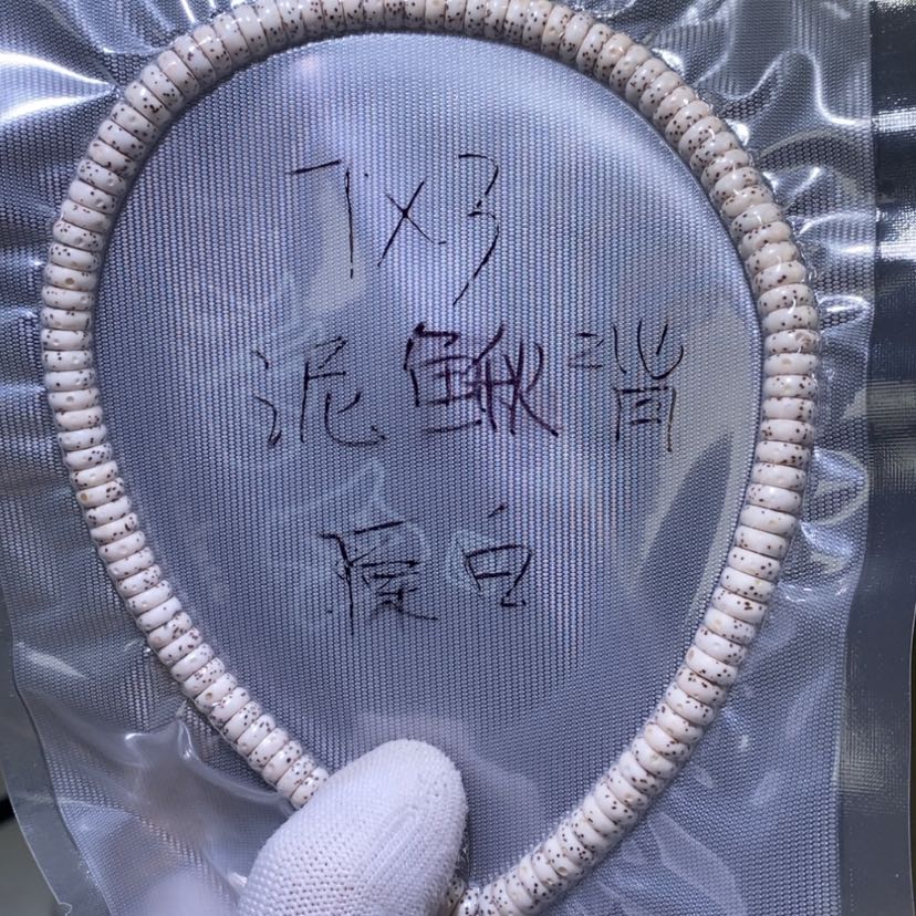 【闪购商品】星月菩提吊坠293