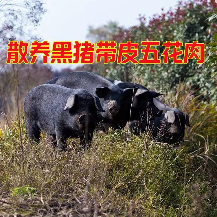 【顺丰】国产散养土猪带皮五花肉新鲜现杀整块五花肉猪五花猪肉