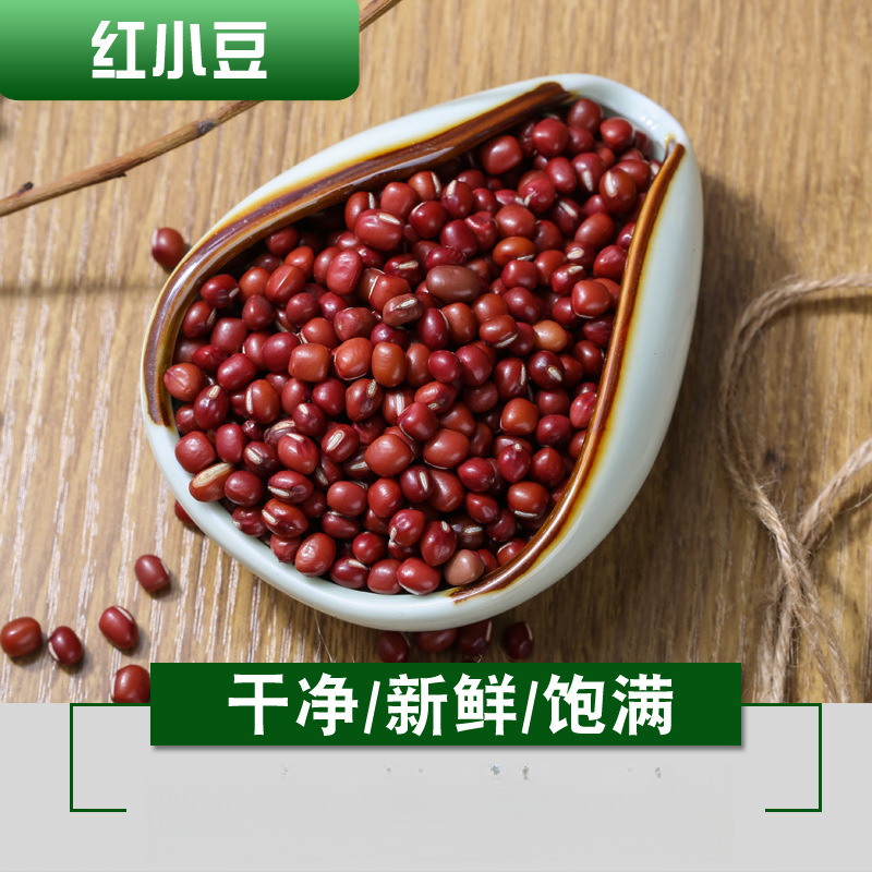 红小豆新货农家自产红小豆 红豆非赤小豆 珍珠蚕豆红豆白扁豆
