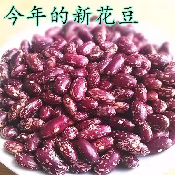 东北紫花芸豆酸菜豆米新花豆云豆 芸豆花豆子新四季豆四季豆米