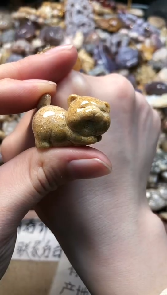 【闪购商品】硅化珊瑚（珊瑚玉）颈饰未镶嵌967