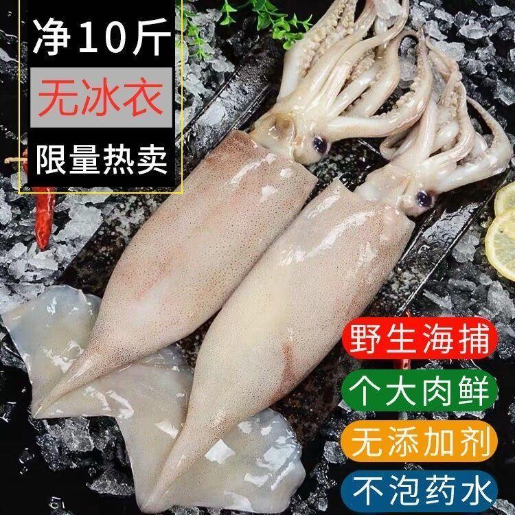 野生大鱿鱼10斤鲜活冷冻鱿鱼整只鲜鱿鱼八爪鱼鱿鱼须5斤烧烤食材
