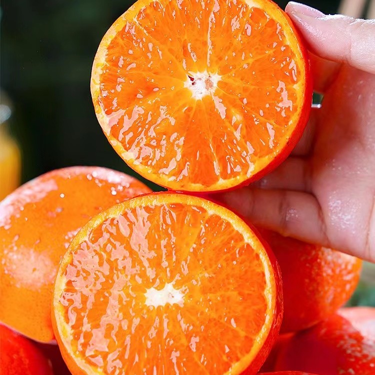 【新店上市】新鲜正宗沃柑采摘云南柑橘子当季水果广西武鸣成熟皮薄