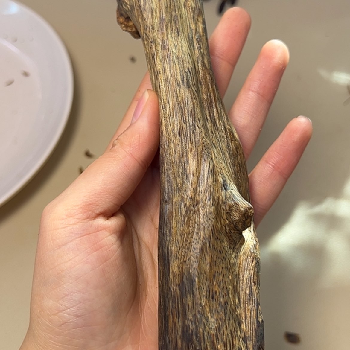 【闪购商品】沉香手把件寻****点虫漏棍料56克
