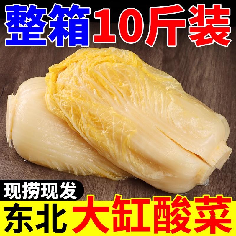 东北酸菜正宗农家无添加乳酸菌酸菜大缸腌制大白菜酸菜丝商用