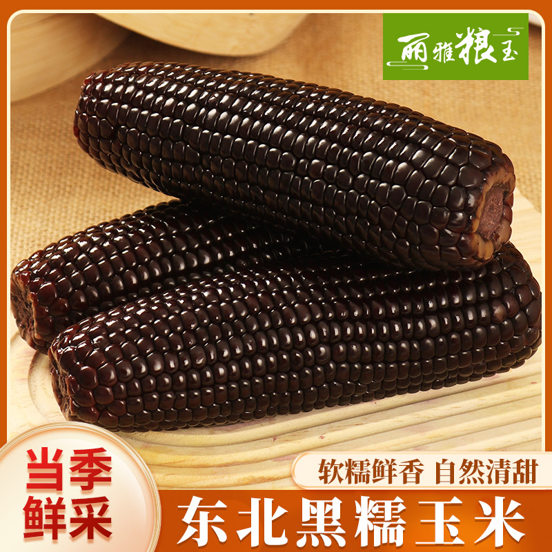 东北新鲜采摘黑糯玉米香甜软糯拍8送2共10支*200g-260g