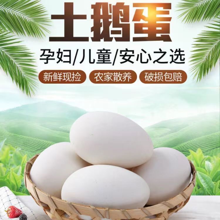 【坏蛋包赔】正宗农家双黄土鹅蛋新鲜特大土鹅蛋批发一箱孕妇宝宝