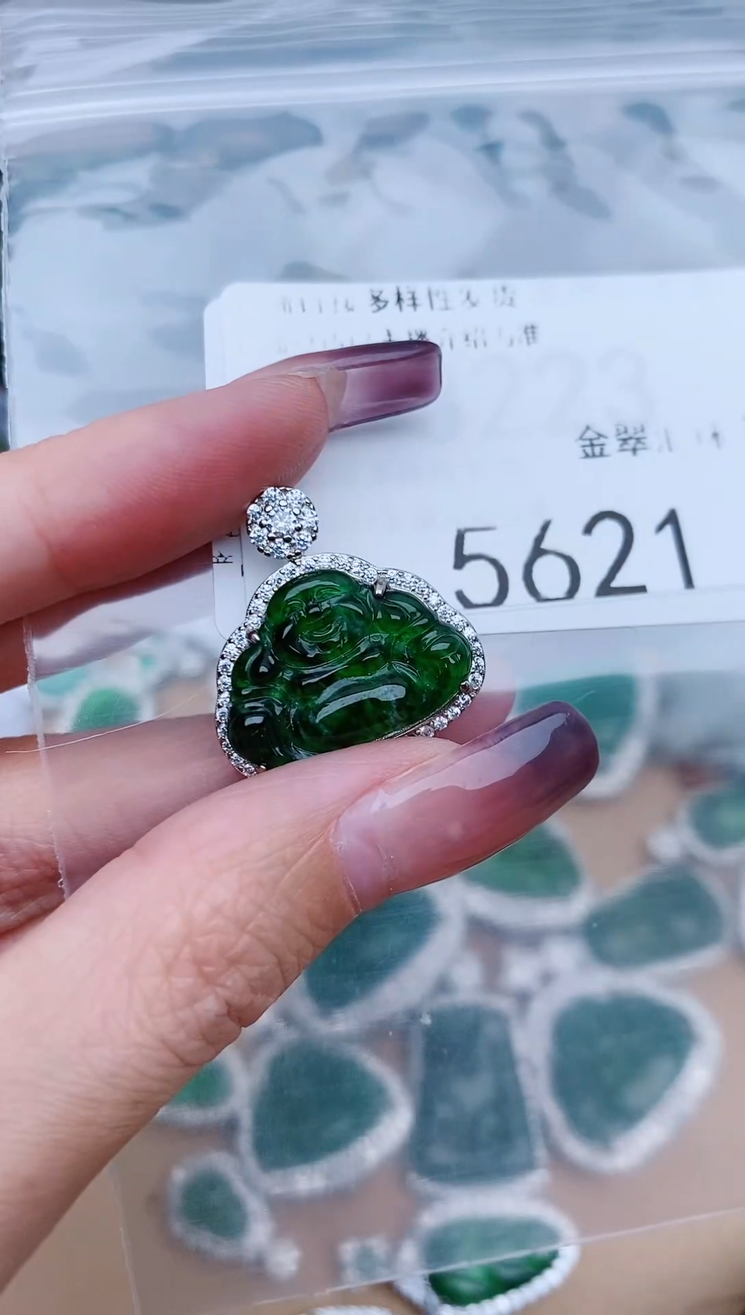 【闪购商品】翡翠颈饰未镶嵌5621