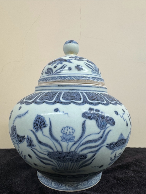 青花鱼藻纹盖罐、全品微失光、确保拍品安全请当面验货签收