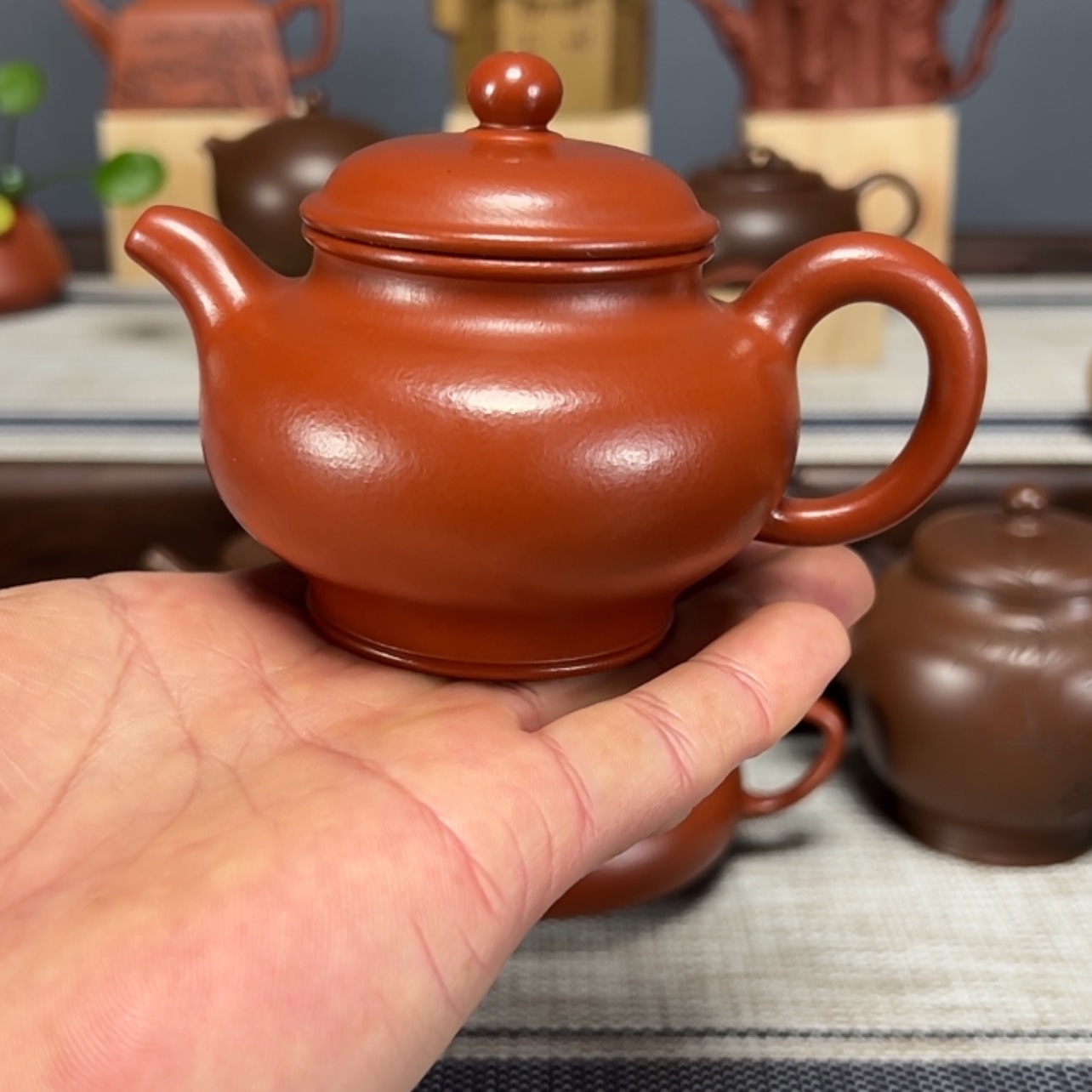 【闪购商品】紫砂茶壶b****t