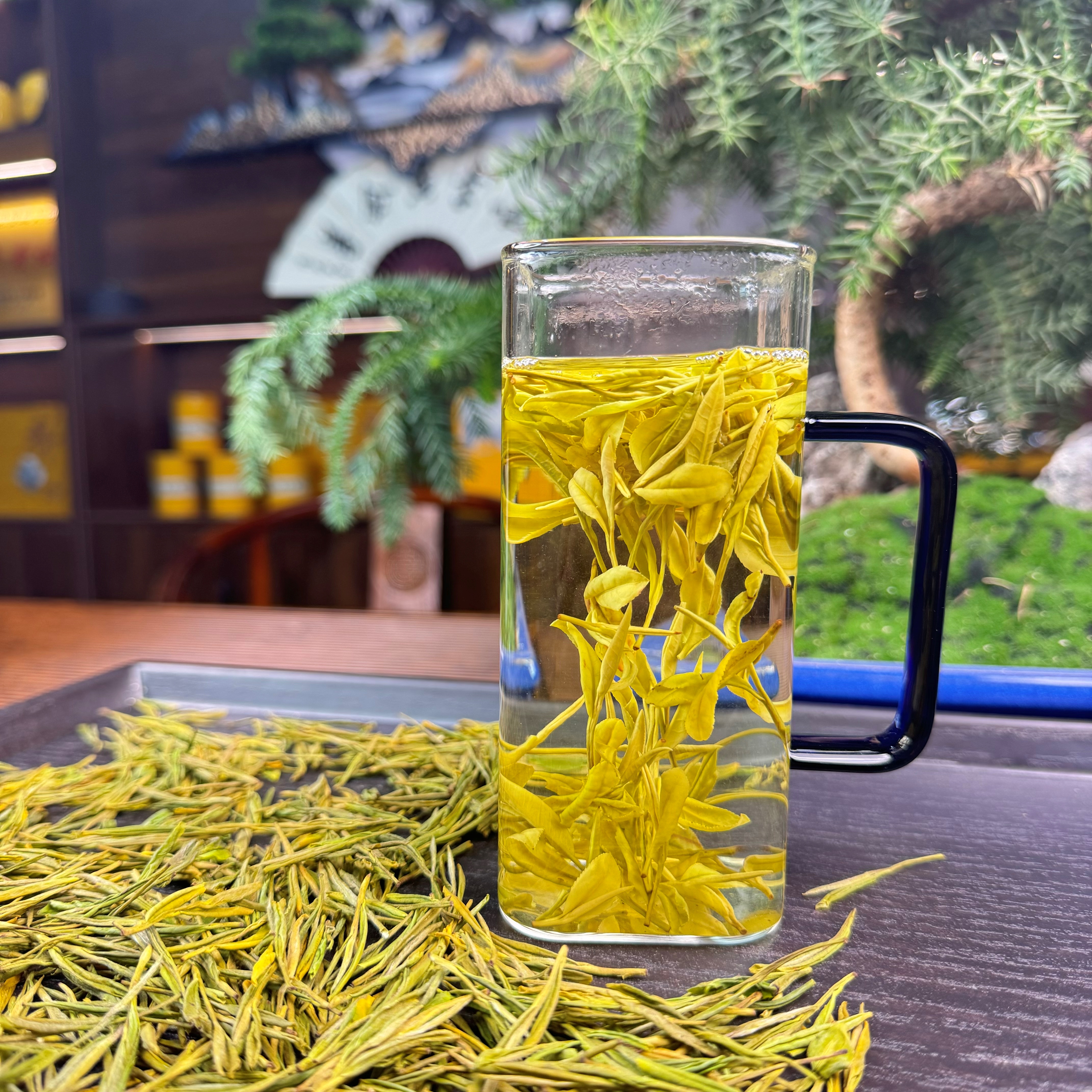 王开心甄选H358《原产地早期新茶黄金芽》豆香浓郁回甘鲜爽耐泡三开