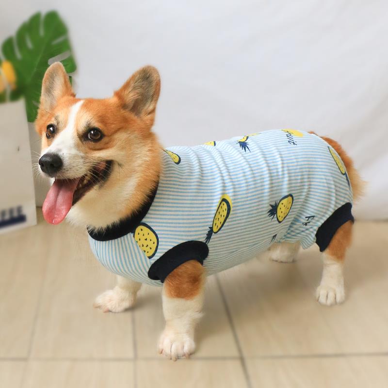 宠物狗狗四脚衣服全秋冬防掉毛柯基泰迪冬装冬天冬季中型犬护肚