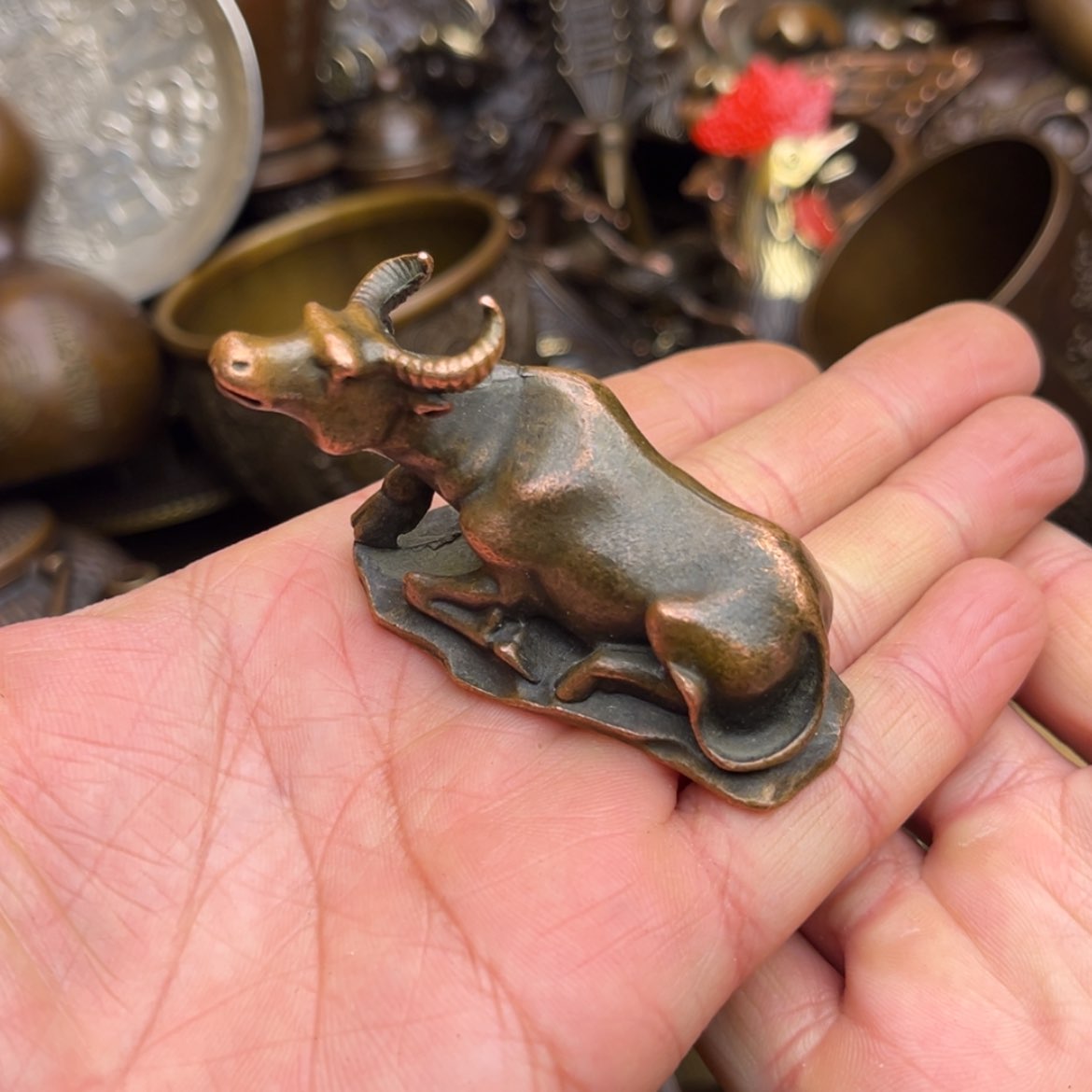 【闪购商品】青铜铜