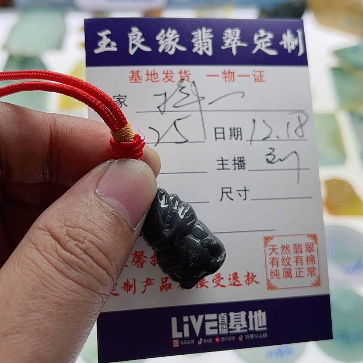 【闪购商品】翡翠颈饰未镶嵌抖****?