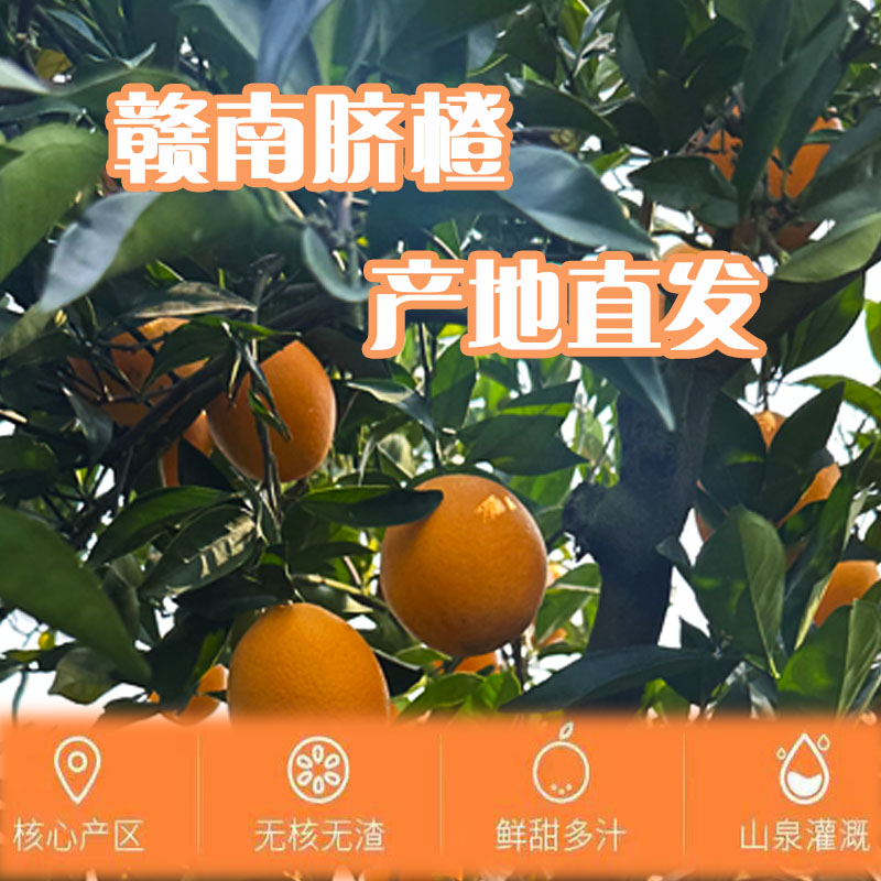 正宗江西赣南信丰脐橙20斤装新鲜采摘无核脆嫩现摘鲜甜采摘