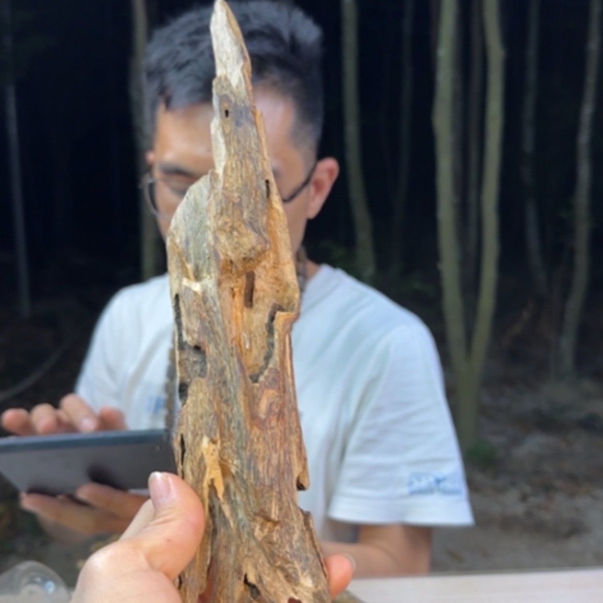 【闪购商品】棋楠块料91.7克