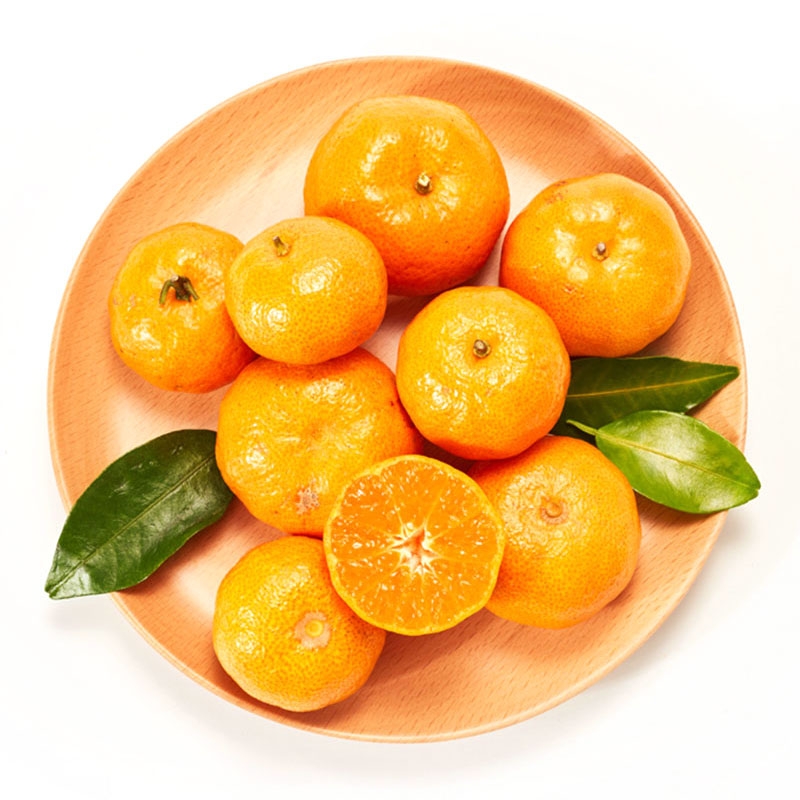 砂糖桔(A级)1-1.1kg/份