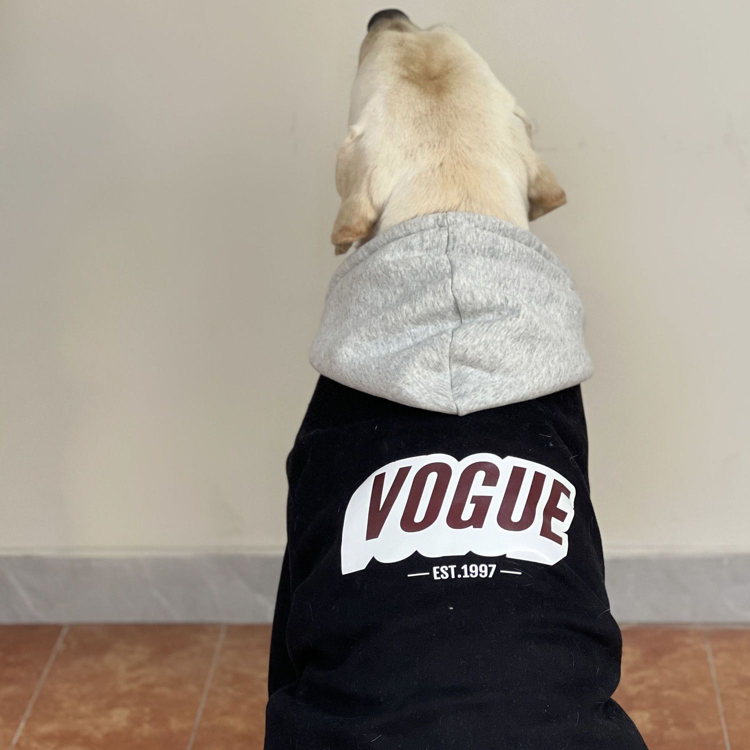 德文羽绒冬季宠物狗狗衣服秋冬加绒加厚拼色连帽英文卫衣 大型犬