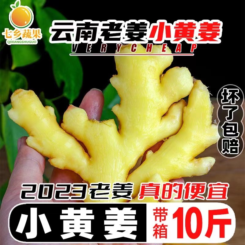 【真的便宜】精选小黄姜大块姜云南老姜月子姜新鲜多汁辛辣调味浓郁