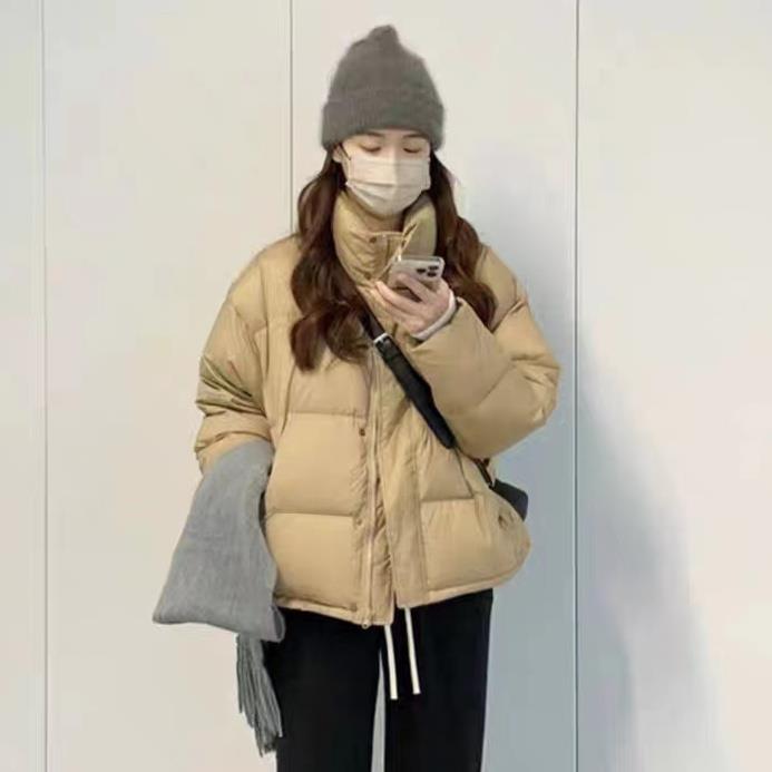 韩国东大门原版羽绒羽绒服女2023新款立领小个子面包服短款