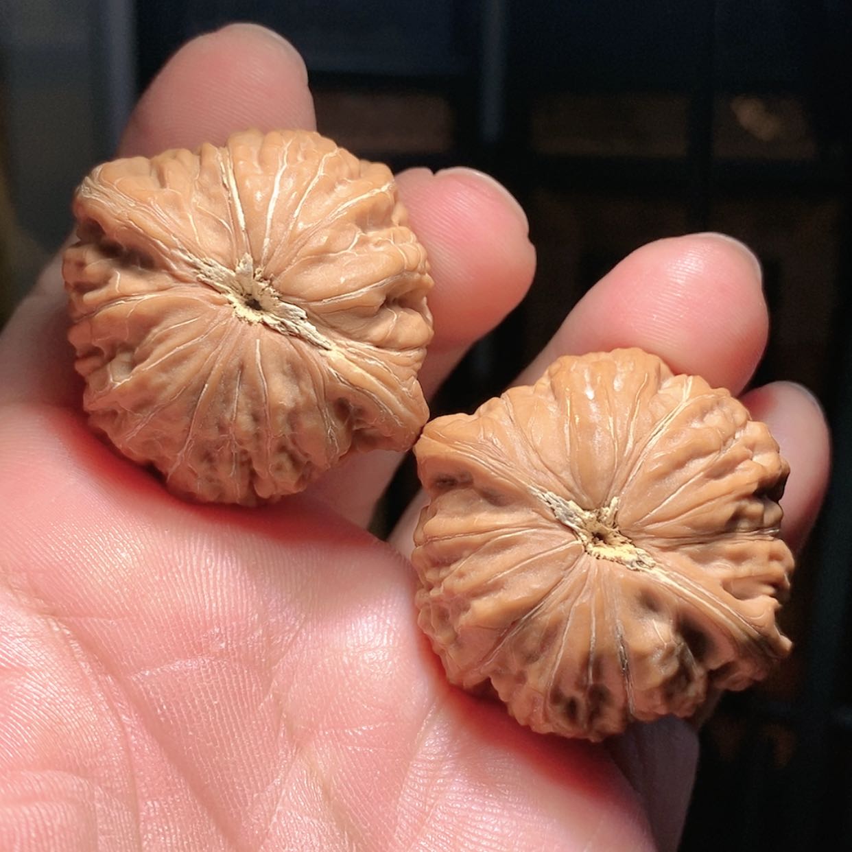 【闪购商品】文玩核桃把件38.9铁锤