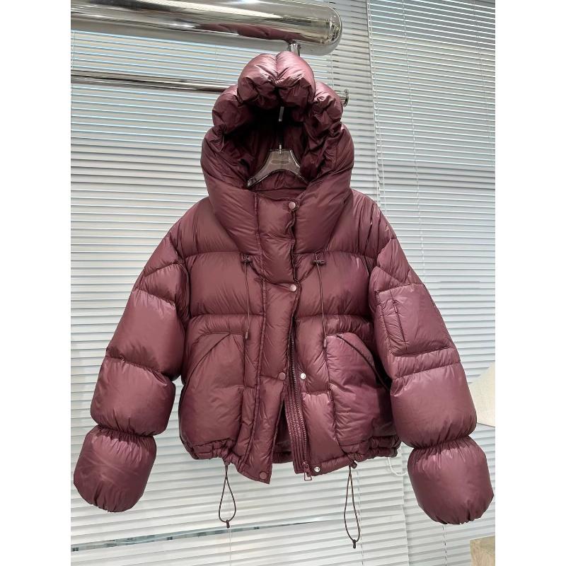 清加厚欧韩ins羽绒服女冬季简约气质连帽百搭保暖感小外套