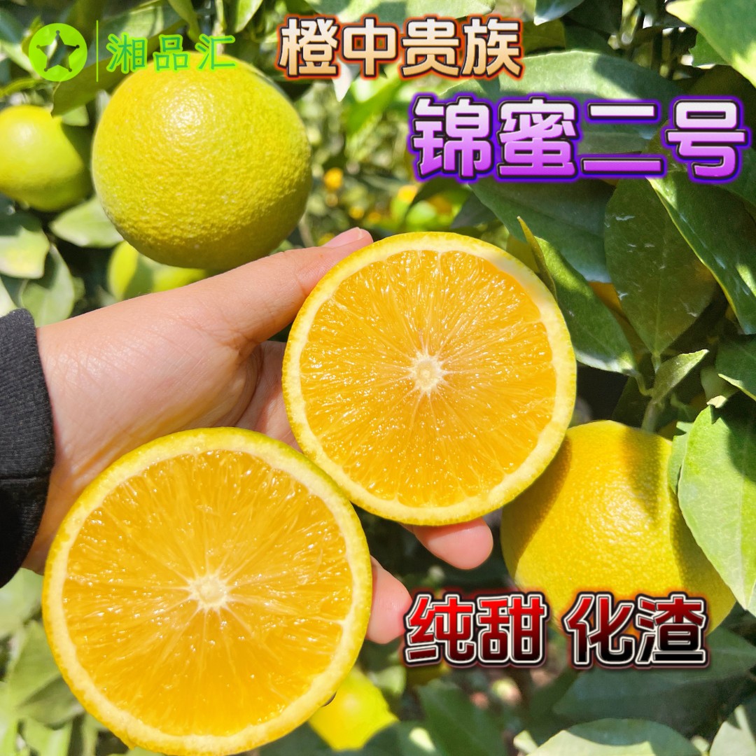 【橙中贵族】湖南麻阳天然锦密二号冰糖橙新鲜采摘纯甜无酸5斤9斤