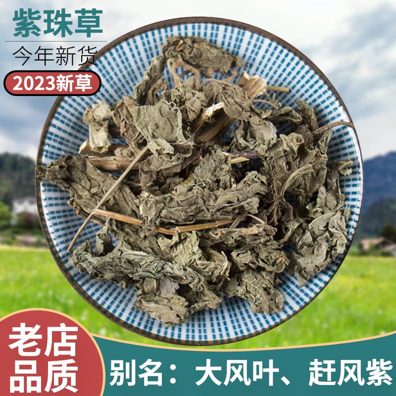 紫珠草 大叶紫珠 大风叶 赶风紫 红大曰 假大艾 止血草