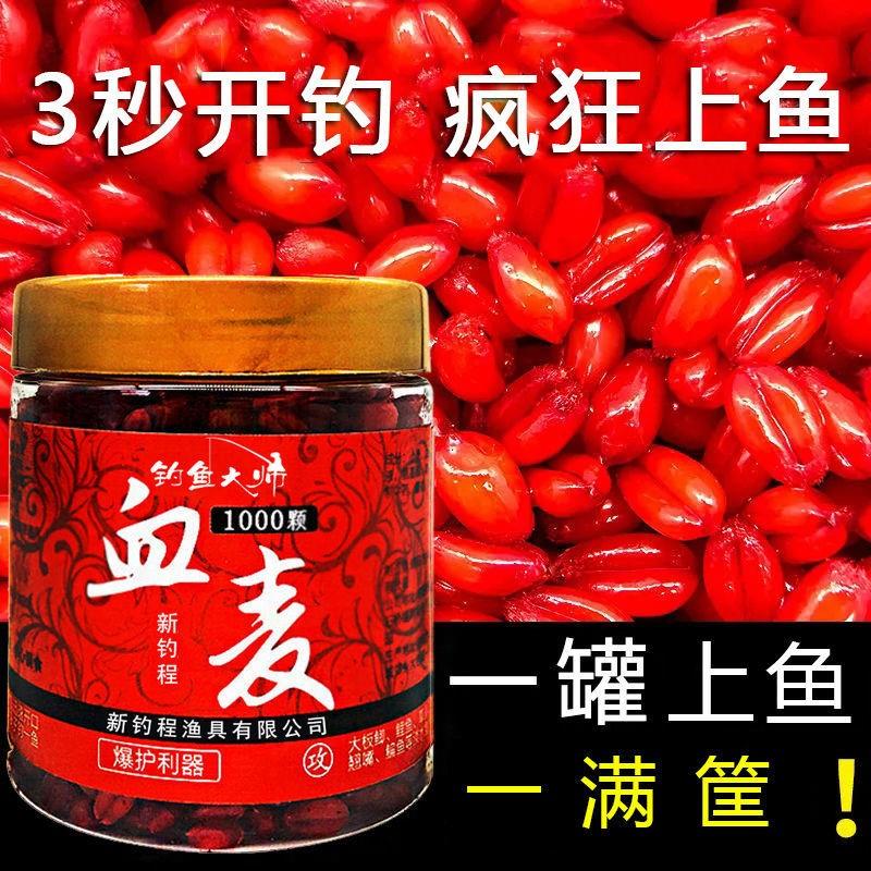 【小扬哥爆款】血麦钓鱼小麦子粒鱼饵颗粒直接挂钩鲫鱼鲤鱼草鱼饵
