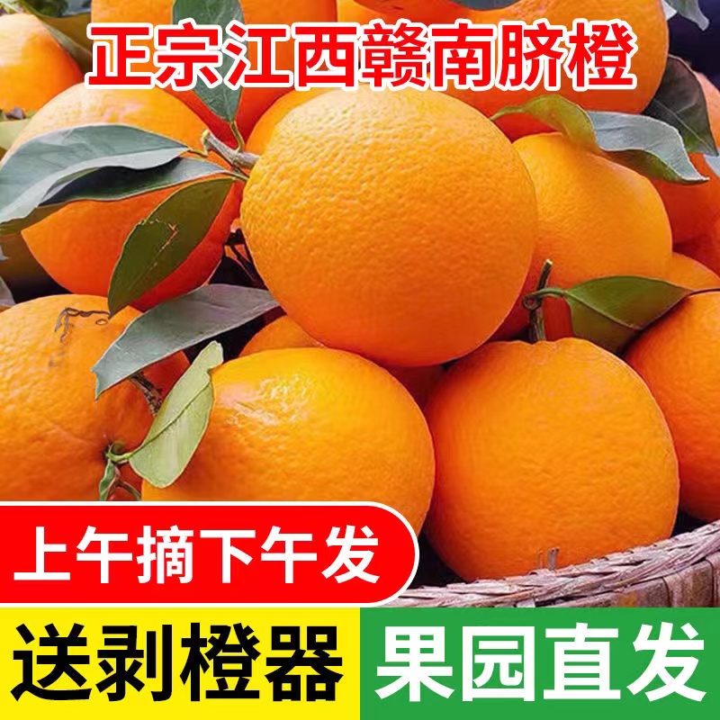 正宗脐橙新鲜现摘橙子当季3-9斤水果甜冰糖手剥超甜橙整箱包邮