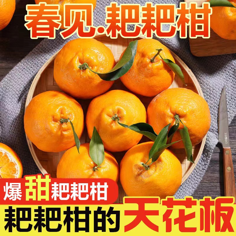 丑八怪丑橘耙耙柑橘子新鲜5-9斤蜜橘桔子水果粑粑柑橘整箱包邮