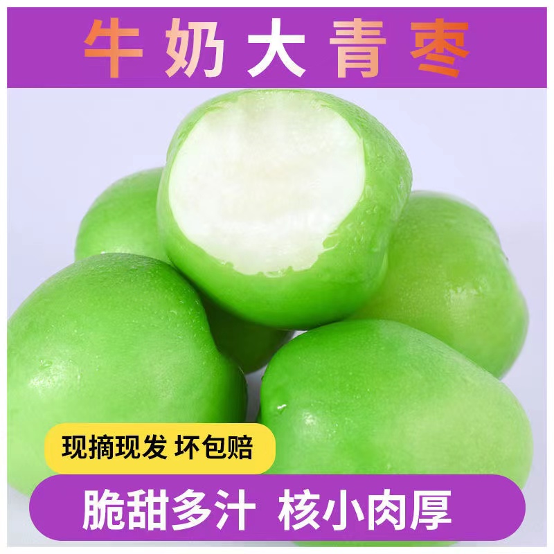 牛奶大青枣新鲜枣子贵妃冬枣时令1-8斤水果当季整箱奶油脆枣包邮