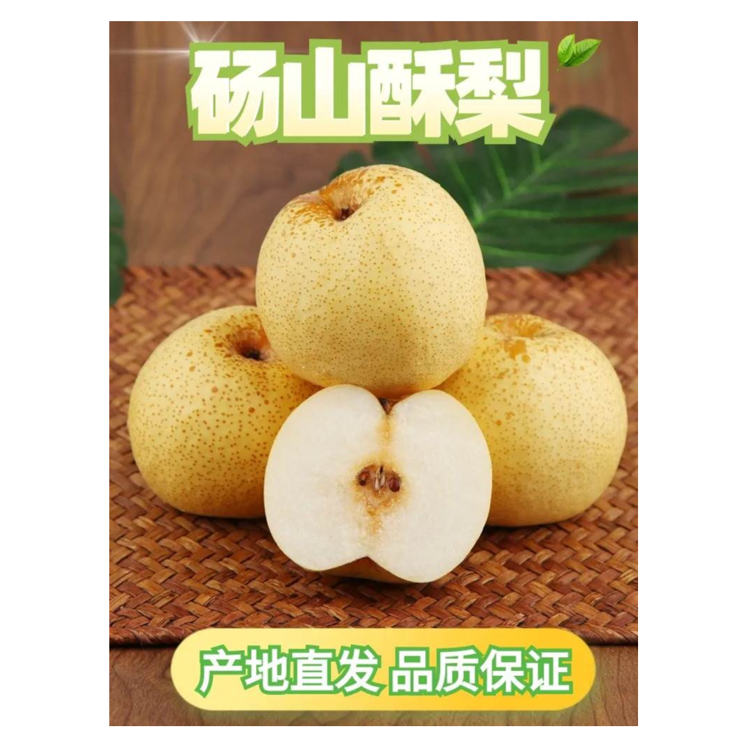 正宗砀山老树酥梨新鲜水果2-9斤整箱当季现摘雪梨大香梨脆梨子