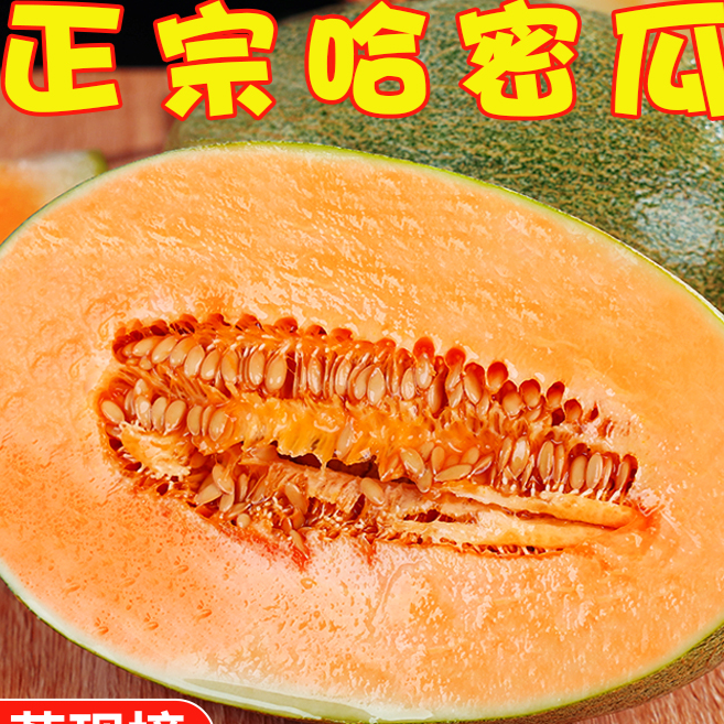 正宗哈密瓜3-9斤当季新鲜水果一现摘现发网纹瓜海南西州蜜瓜整箱