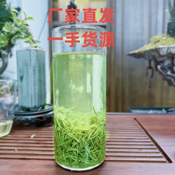 【雨前芽叶 新人福利】信阳毛尖2023 高山绿茶 核心产区茶叶 袋装