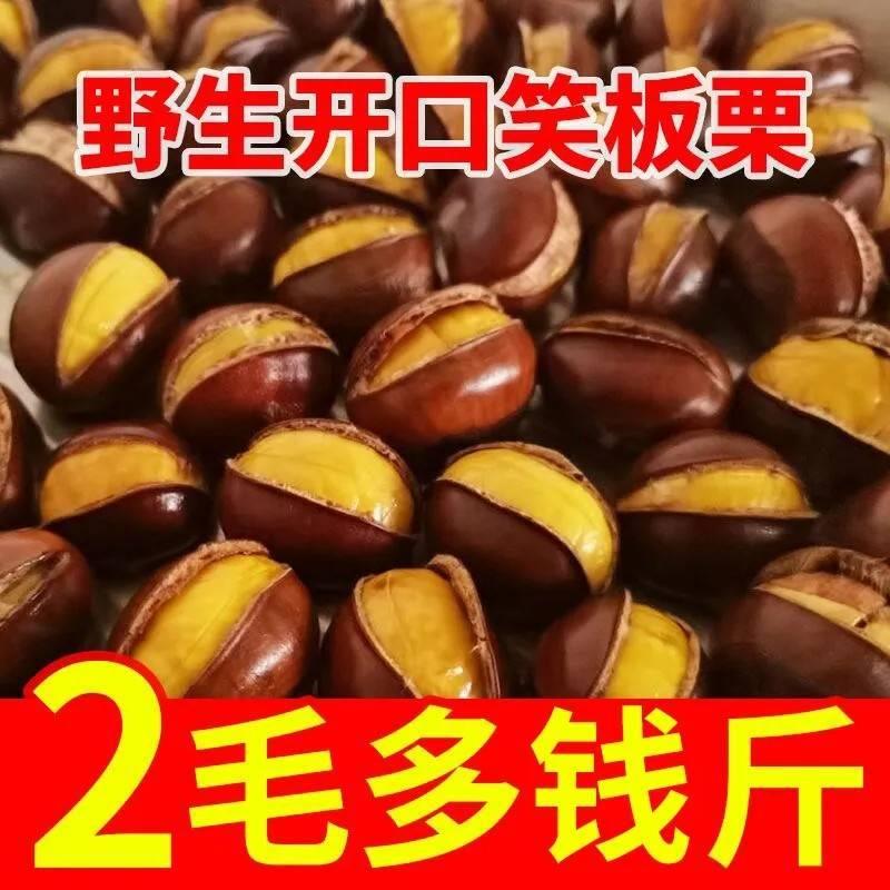 【览拓】丹东2023板栗生栗子新鲜整箱带壳毛栗子油栗易去皮非迁西1