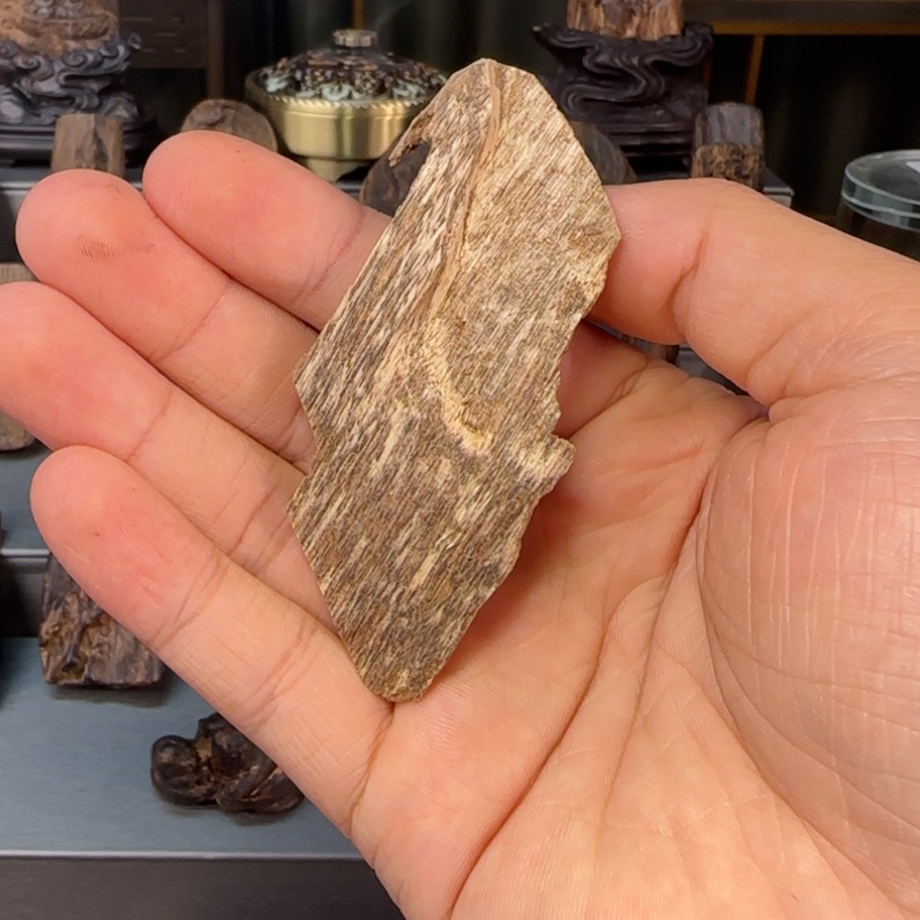 【闪购商品】沉香越南壳料