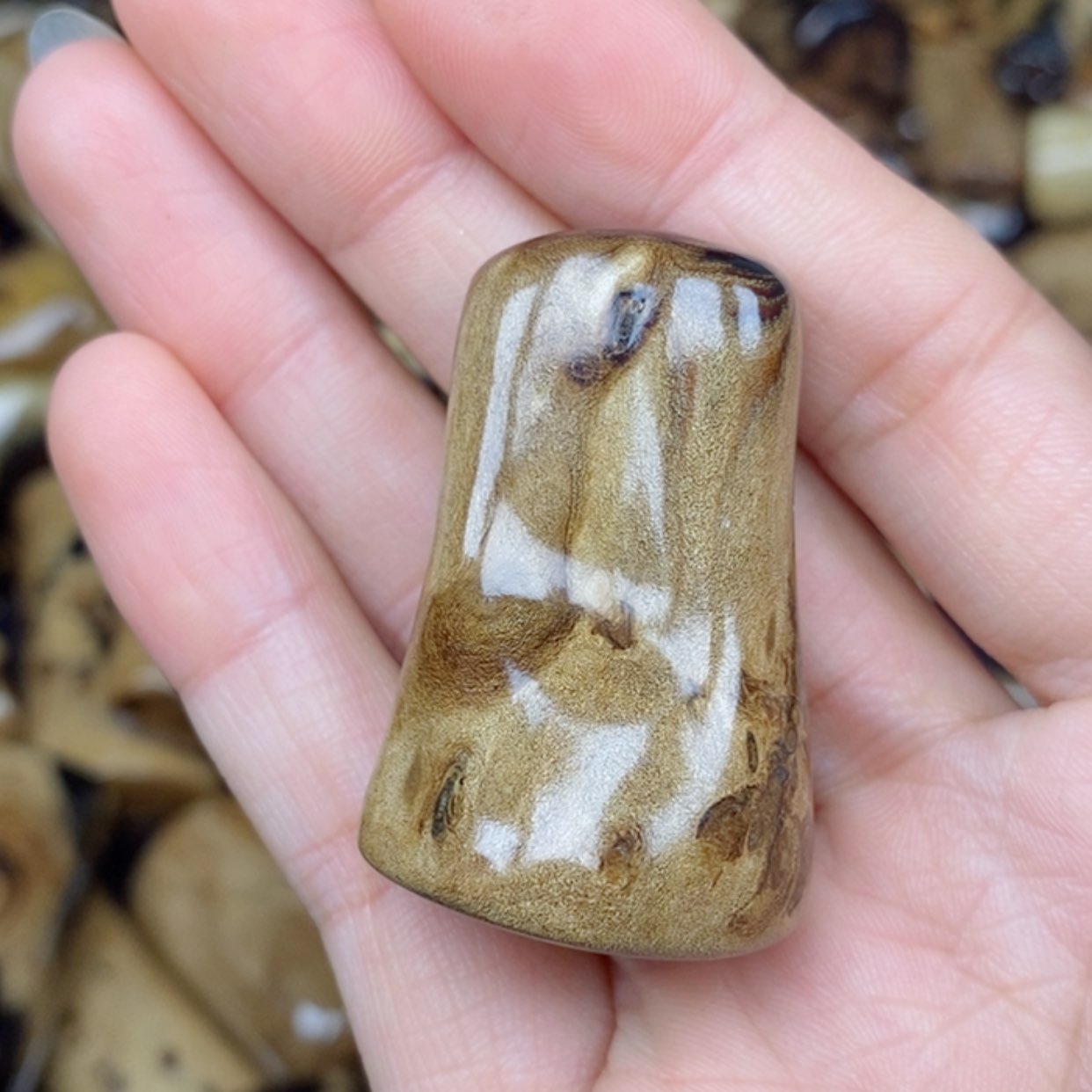 【闪购商品】柳木柳柳手把